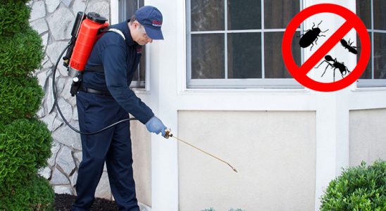 Şişli Dezenfeksiyon böcek ilaçlama ve haşere kontrolü — ilaclama-tr.com